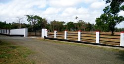 Wennappuwa – Divine Park