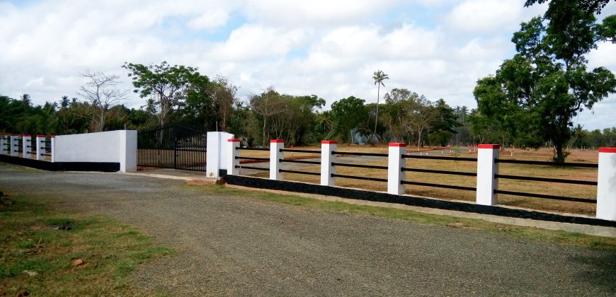 Wennappuwa – Divine Park