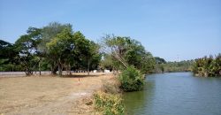 Wennappuwa – Divine Park