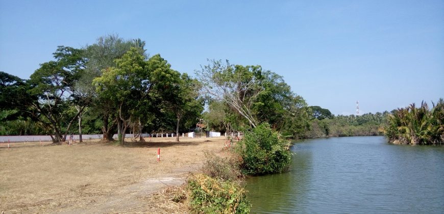 Wennappuwa – Divine Park