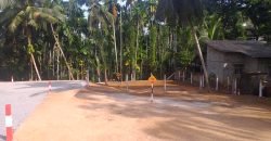 Meegoda – Thuru Piyasa