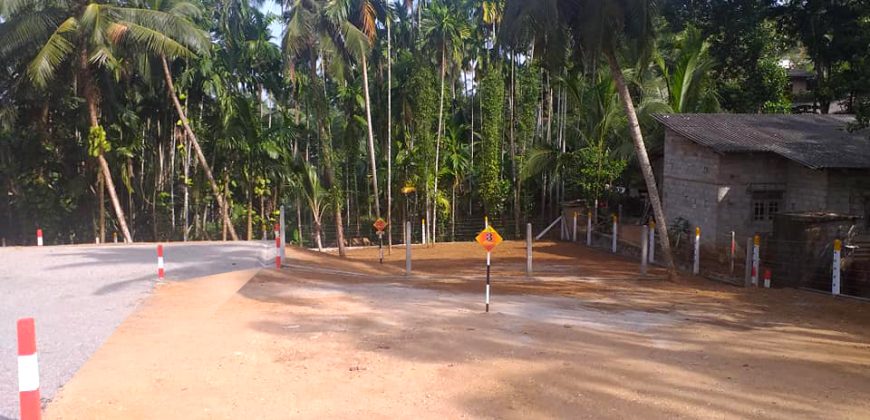 Meegoda – Thuru Piyasa