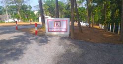 Meegoda – Thuru Piyasa