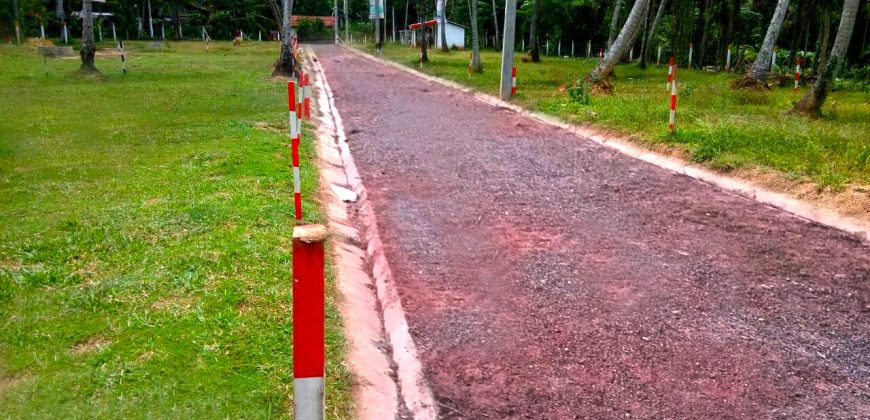 Dagonna – Haritha Danawwa