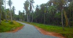 Dunagaha – Sandathenna