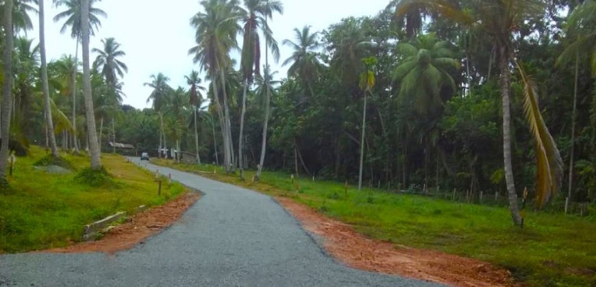 Dunagaha – Sandathenna