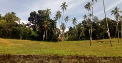 Rathgama – Green Valley ||