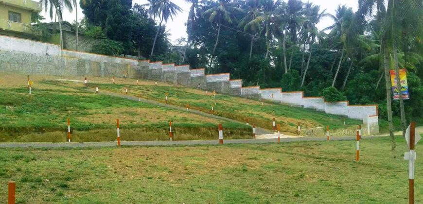 Moratuwa – Regent Bolgoda Reach