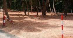 Negombo  – Regent Field View – Stage II