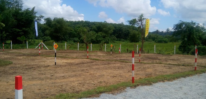 Padukka – කෙත අද්දර