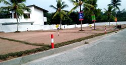 Piliyandala – Palm Grove