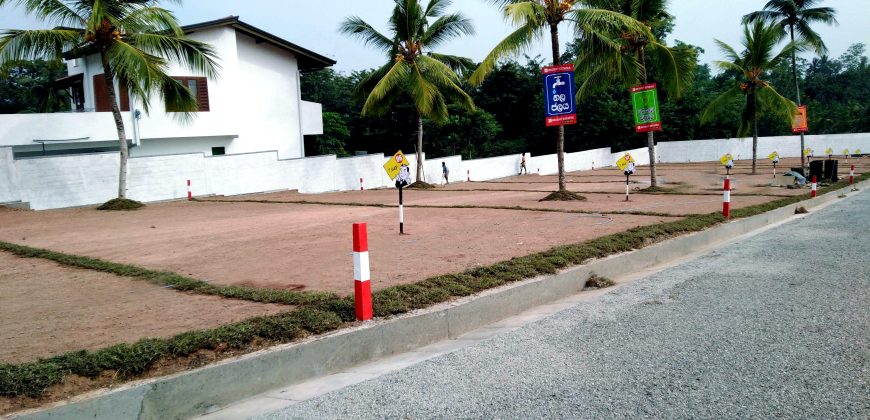 Piliyandala – Palm Grove