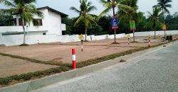 Piliyandala – Palm Grove