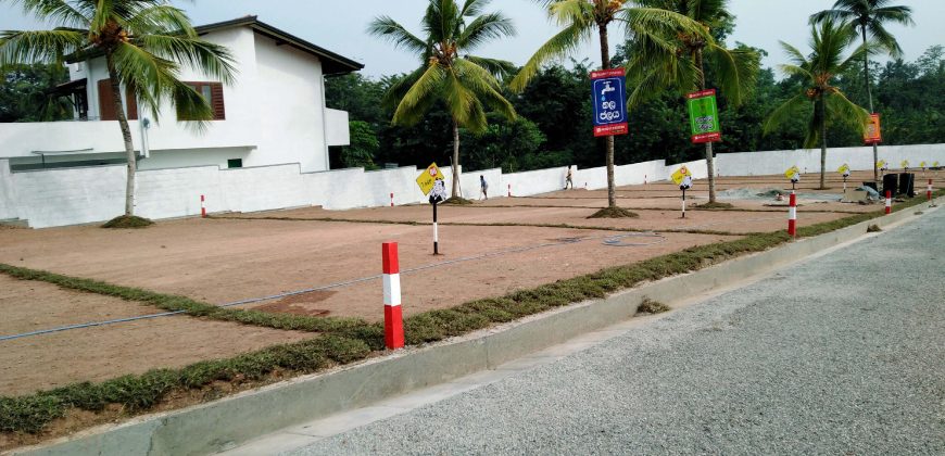 Piliyandala – Palm Grove