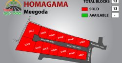 Meegoda – Thuru Piyasa