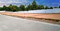 Piliyandala – Palm Grove