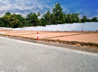 Piliyandala – Palm Grove