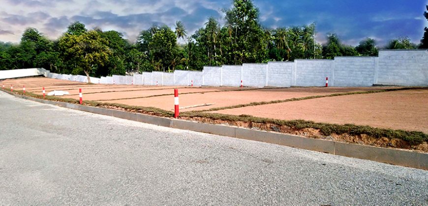 Piliyandala – Palm Grove