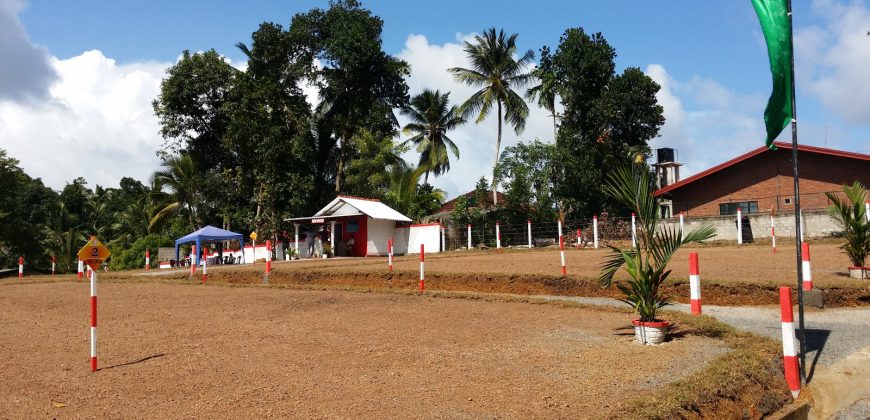 Panadura – Regent Crescent