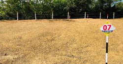 Aluthgama – Welipenna