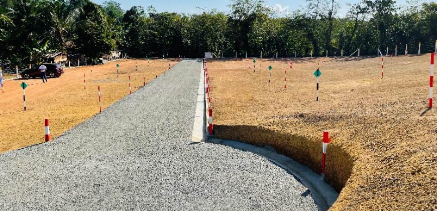 Aluthgama – Welipenna