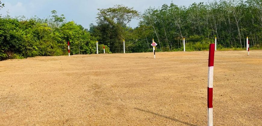 Aluthgama – Welipenna ||