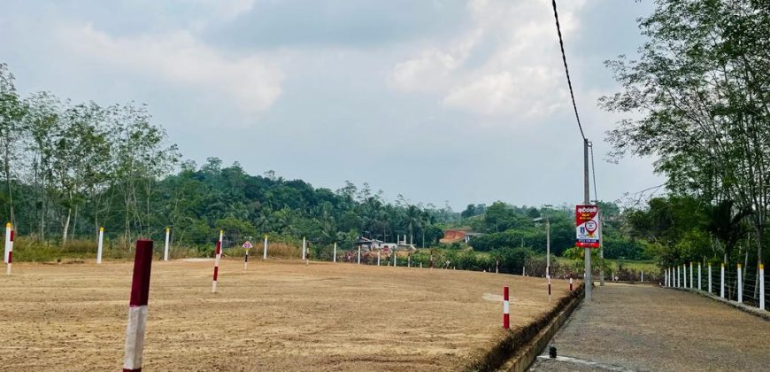 Aluthgama – Welipenna ||